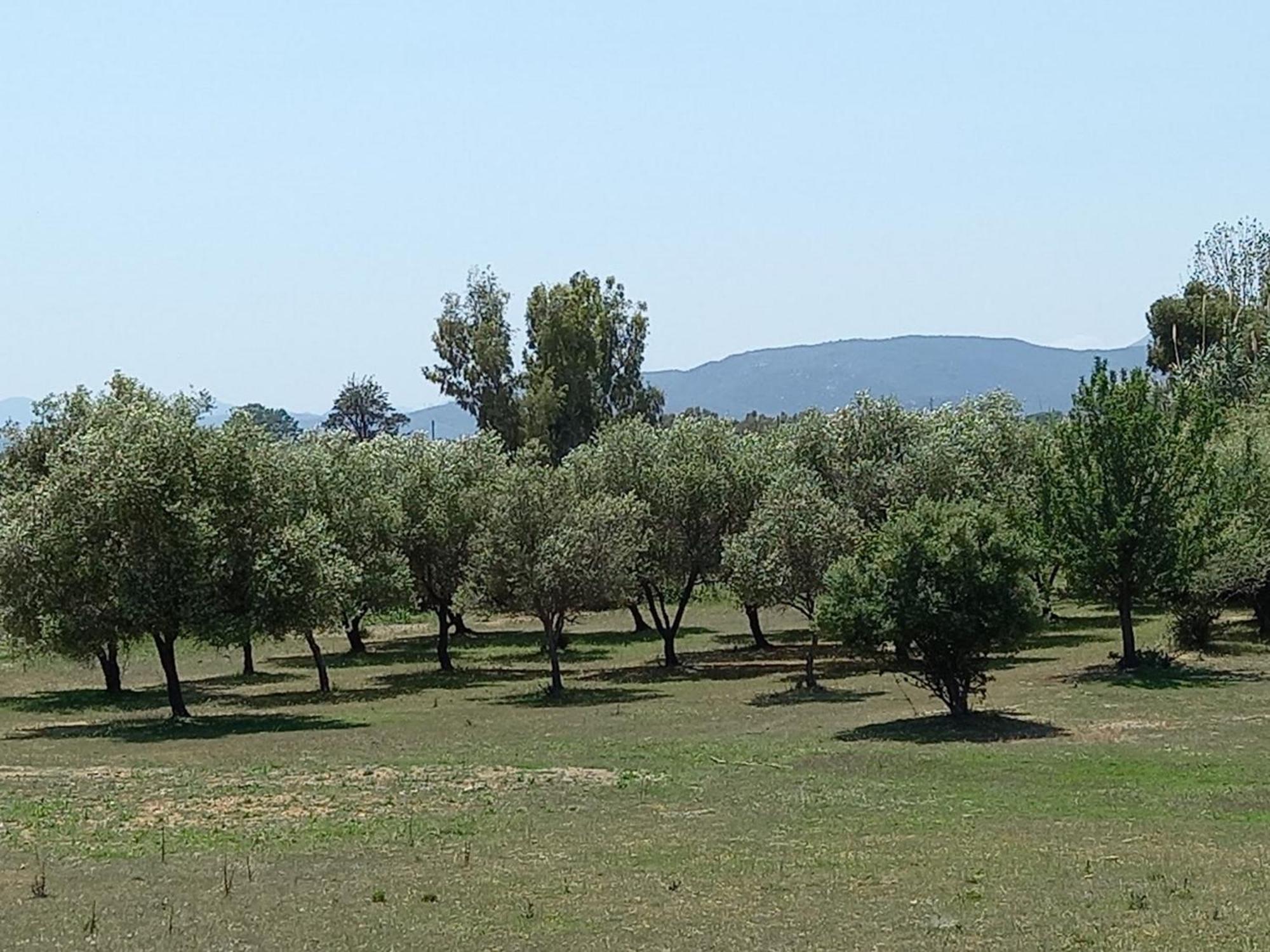 Casa Vacanze Relax, Green - BaseCamp Ogliastra Santa Maria Navarrese Exterior foto